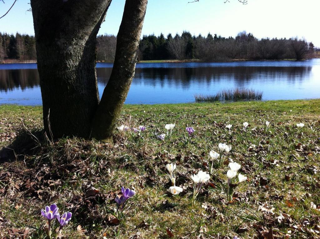 Tollundgaard Golf Park & Apartments Funder Kirkeby Bagian luar foto